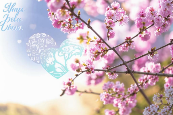 Новая любовь — новая жизнь