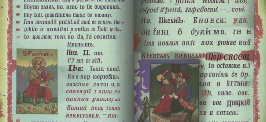 «Полудачная местность. Оять и Шексна...»