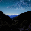 La selva oscura