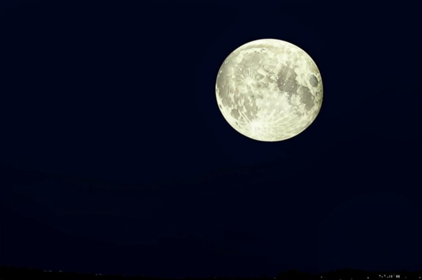 «В тишине вздохнула жаба...»