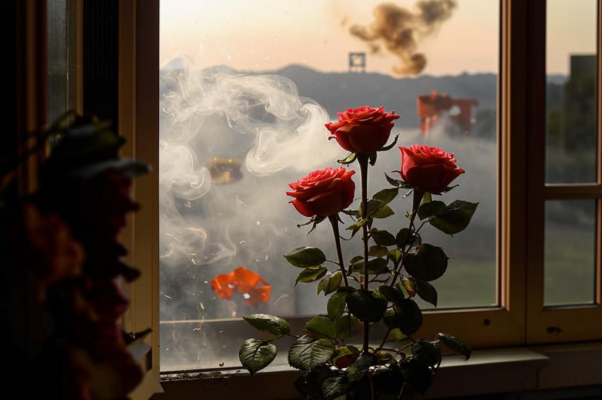 «Дымные пятна соседних окон...»