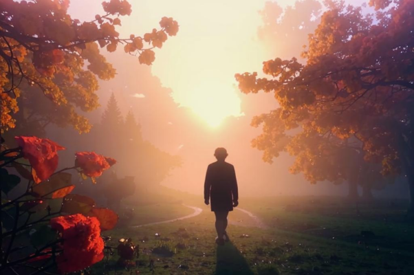 «Как туман на рассвете — чужая душа...»