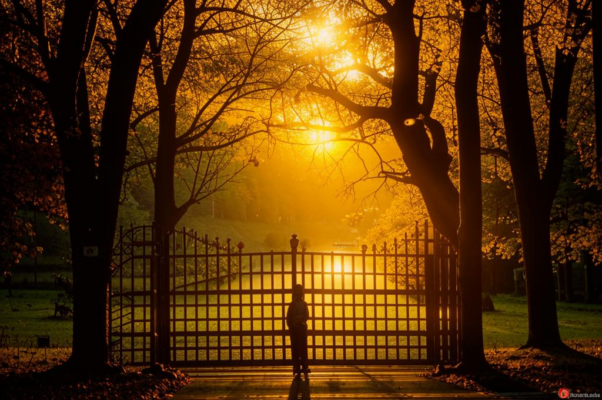 «Калитка закрылась со скрипом...»