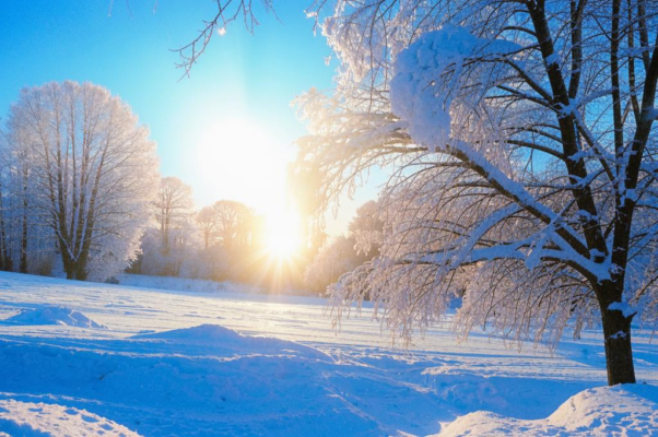 «Мороз и солнце, опять, опять...»