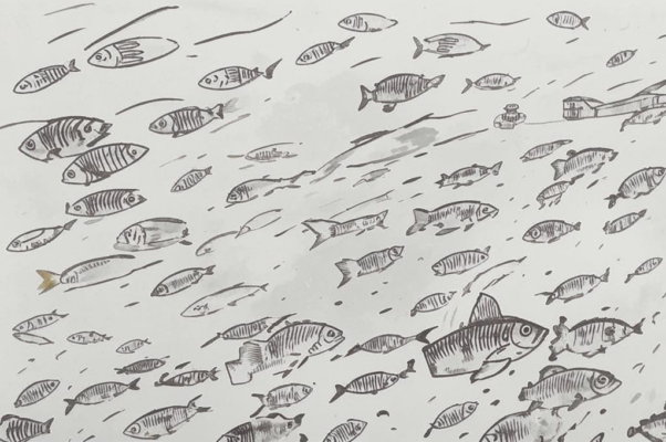 «Плавают в море различные рыбы...»