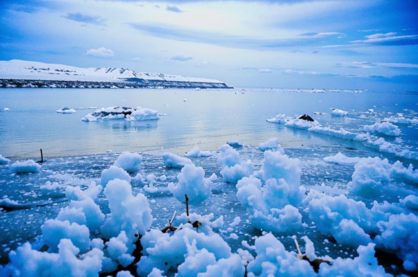 «Стонет океан арктический...»