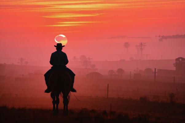 Из окна («Запад в багровом тумане…»)