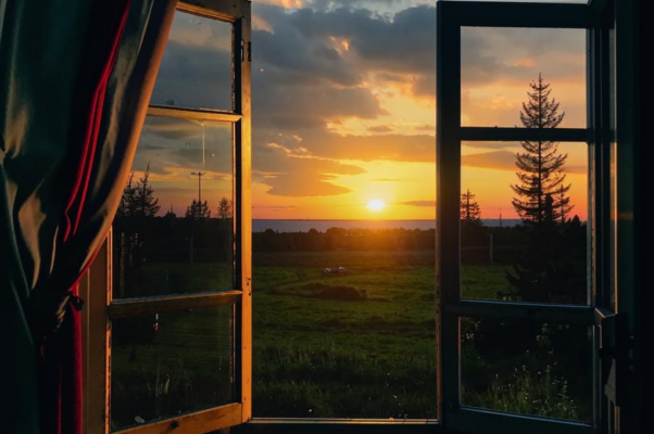 Пилигрим («Вдыхаю сосен запах горький…»)