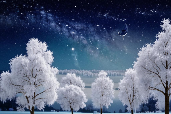 Рождество 1915 г.