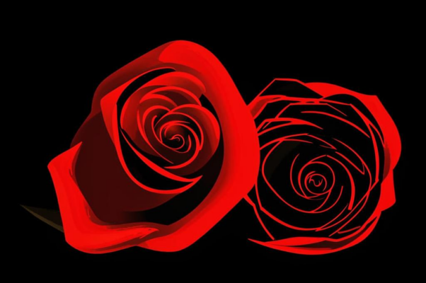 Роза и сирень