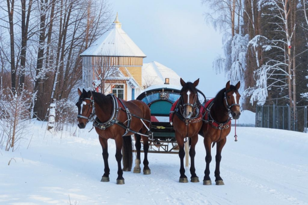 Святочная поездка