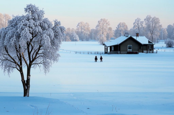 Утром («Заколдованы утром дома…»)