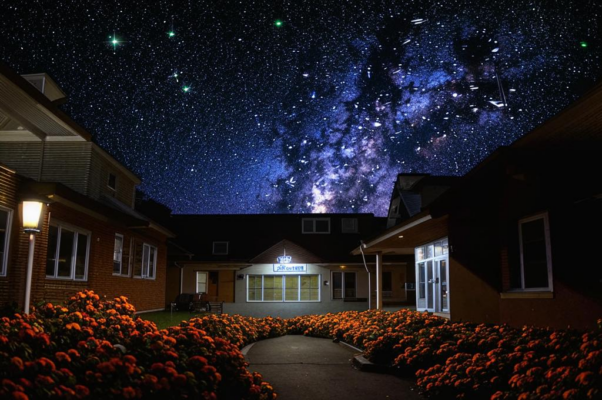 Элегия («Ночь светла, и небо в ярких звездах…»)