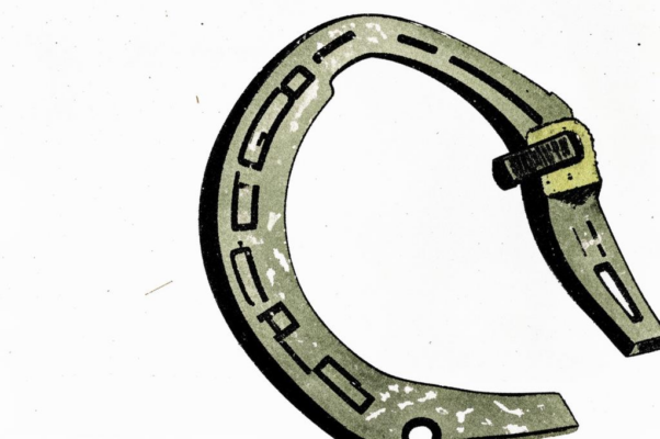 «Я нашел на улице подкову...»