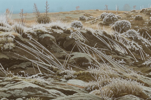 «В наборе свежести спокойной...»