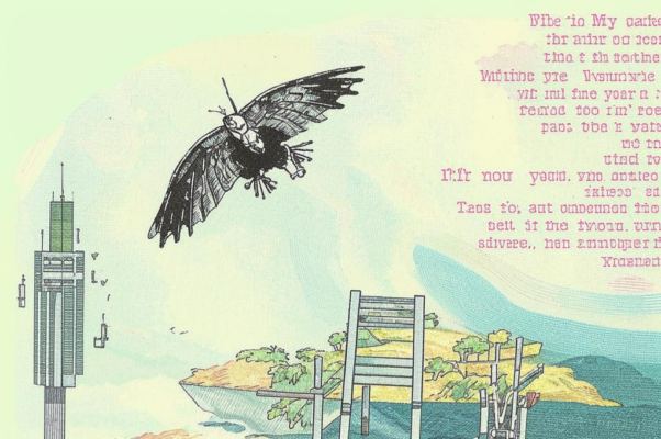 «Влети опять в мою калитку...»