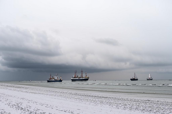 «Еще ты жив, пока на улицу выходишь...»