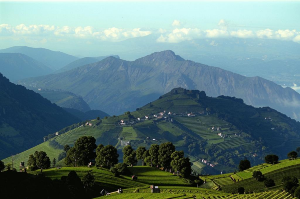 «Мне кажется...»