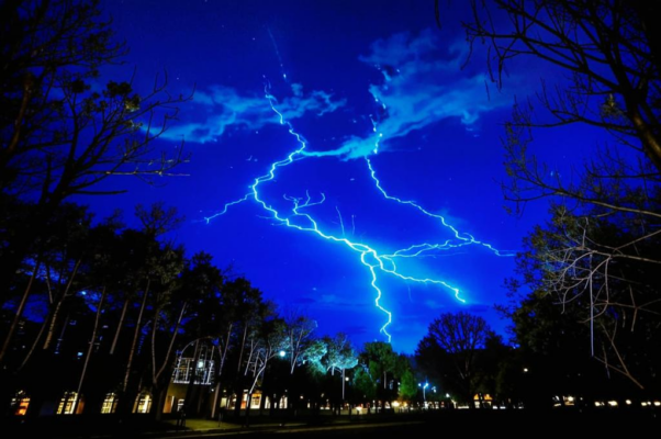 «деревья приближались к ночи...»