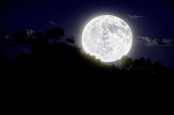 «ну вот — опять мой конь оседлан и задумчив...»