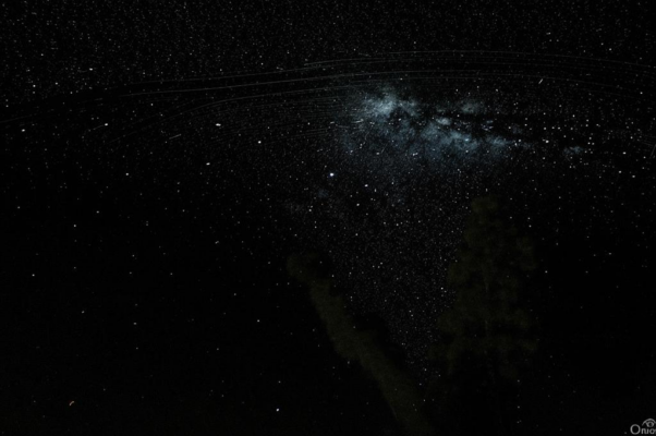 «стояли звезды где-то там, где небо густо...»