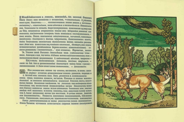 «Чох на ветер...»