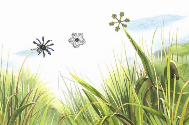 Девичья («Цветенок аленький…»)