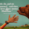 «На друга полагайся...»