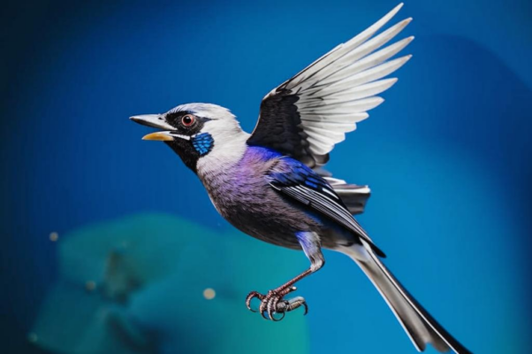 «Мой жаворонок, как ты звонко пел...»