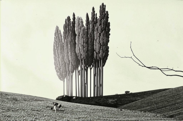 «Когда приходит юности каюк...»