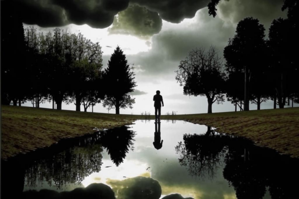 «Отражаются лужи в древесном небе...»