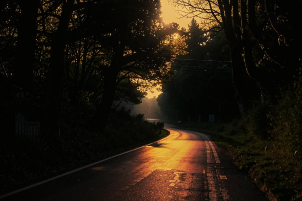 «В тот край дорога неисхожена...»