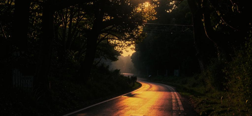 «В тот край дорога неисхожена...»