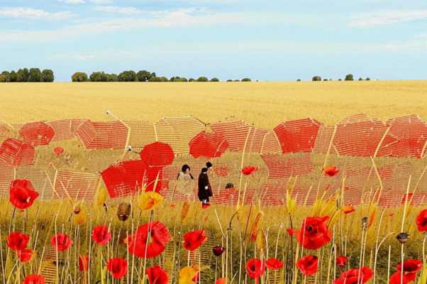 «Во ржи не видно больше маков...»