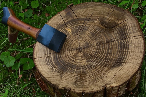 «Его вчера срубили. Что осталось...»