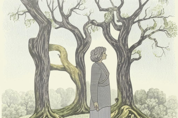 «Их ровно пятьдесят от сердцевины —...»