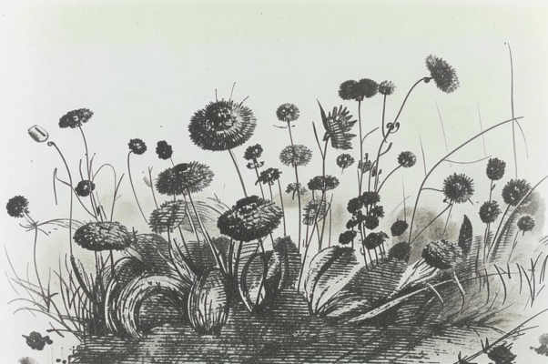 «Когда седеют васильки...»