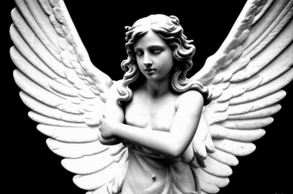 «Не знаю, согласиться захотите ли...»