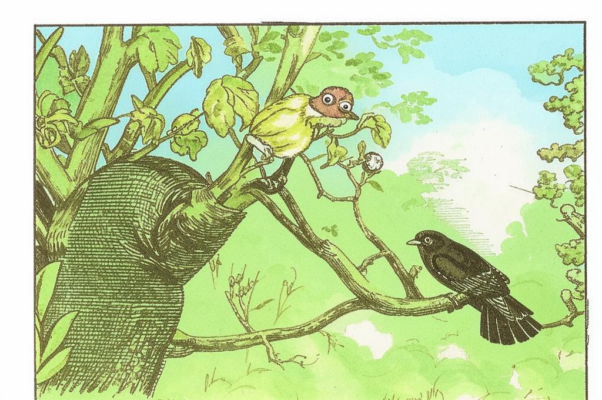 «Не услышать кукушки летом —...»