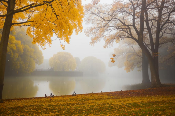 «Осень близко. Желтый лист мелькает...»