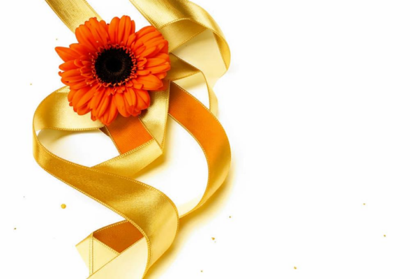 «Подари себя любимой...»