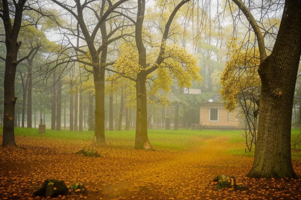 «Пусть мечтал я проститься с тобой...»