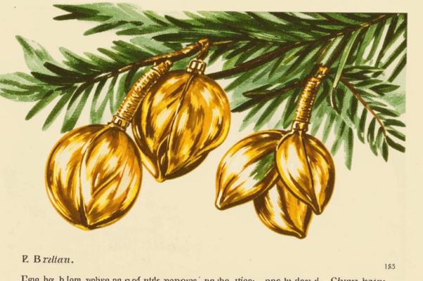 «Тончайшей кистью — песнею моей...»