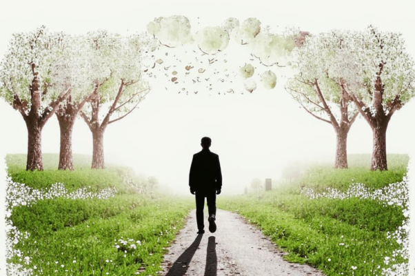 «Я растерял их по пути...»