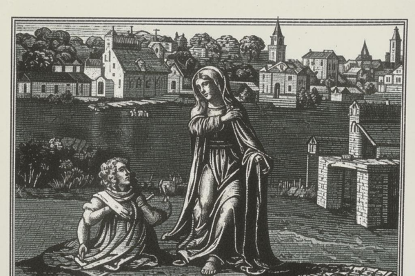 «За лебединой белой долей...»