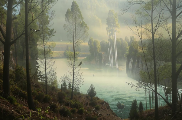 «Мой край, мое Поморье...»