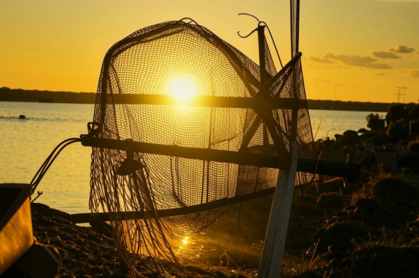 «Октябрьское солнце косое, дырявое...»