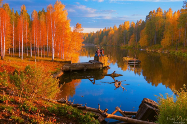 «Оттого в глазах моих просинь...»