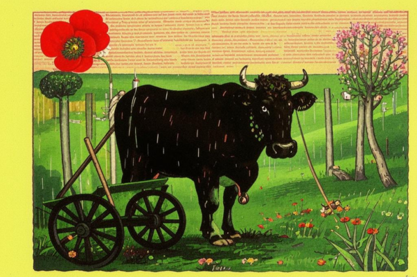 «Пожалейте трудную скотинушку...»