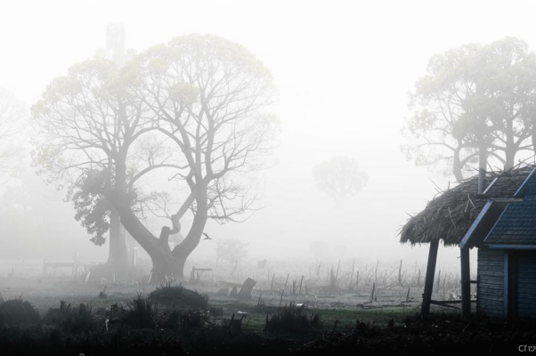«Снова поверилось в дали свободные...»